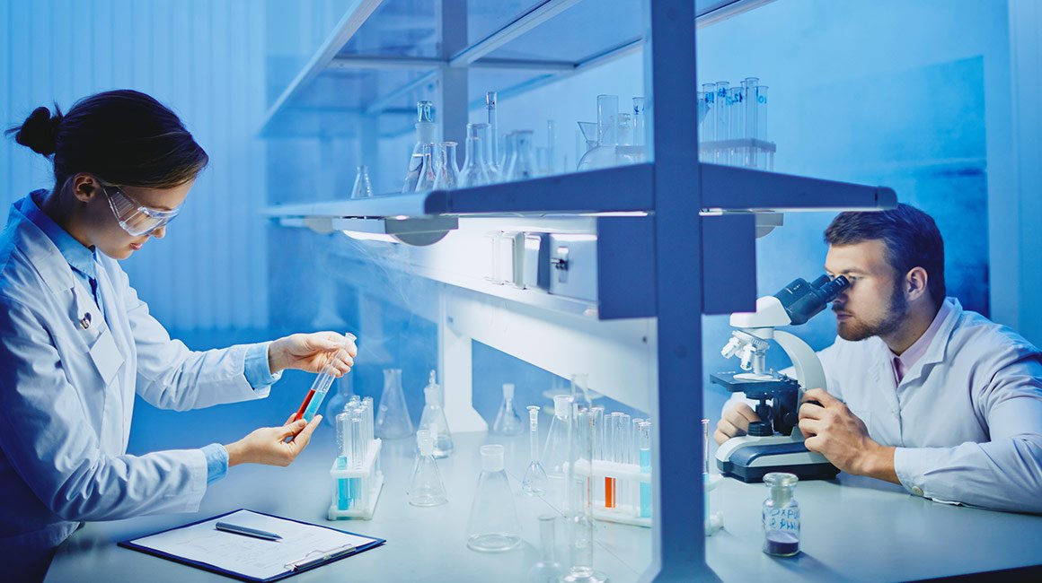 معرض الصور 2