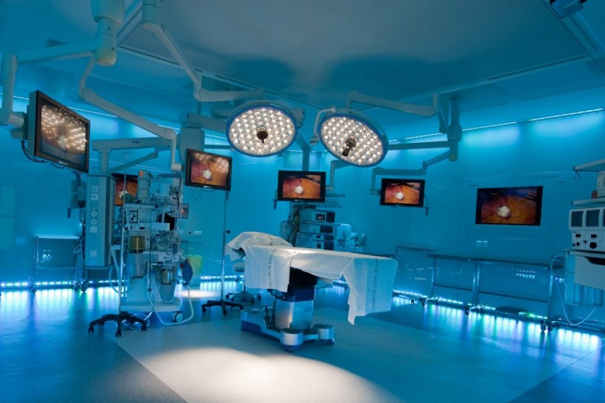 معرض الصور 8